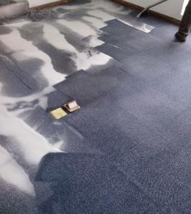 地毯清洗保養(yǎng)